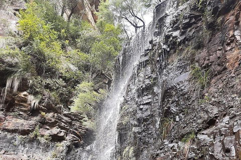 Blue Mountains Full Day Nature Tour For Four - Accommodation Ballina 1