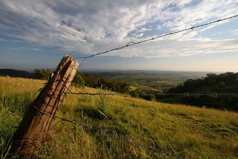 Private Full-Day Wine Tour In Hunter Valley - Accommodation Ballina 3