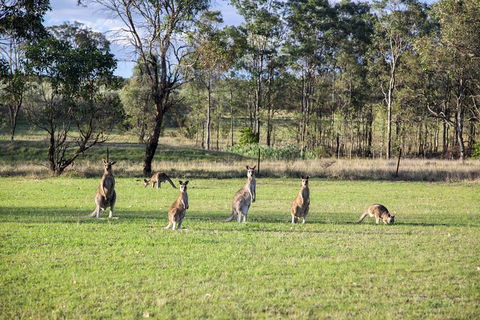Private Full-Day Wine Tour In Hunter Valley - Accommodation Ballina 2