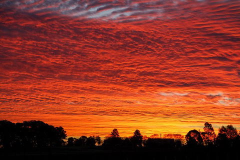 Private Full-Day Wine Tour In Hunter Valley - Accommodation Ballina 0
