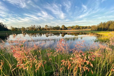 Private Full-Day Wine Tour In Hunter Valley - Accommodation Ballina 5