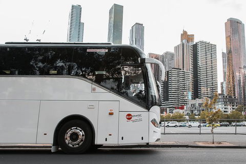 Private 24 Seat Mini Bus Sydney CBD To Penrith Stadium Transfer - Accommodation Ballina 1