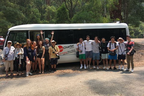 Private 24 Seat Mini Bus Sydney CBD To Penrith Stadium Transfer - Accommodation Ballina 4
