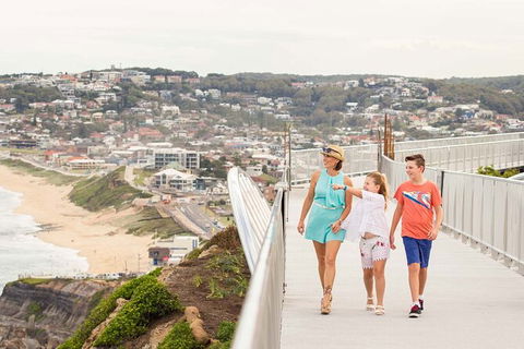 Newcastle Scenic Explorer - 2 Hour Tour By Minibus - Accommodation Ballina 11