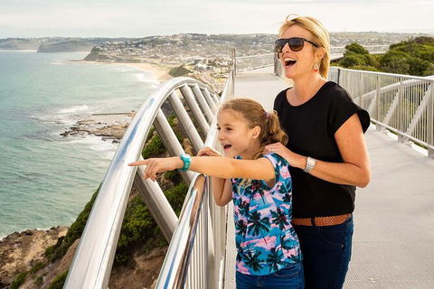 Newcastle Scenic Explorer - 2 Hour Tour By Minibus - Accommodation Ballina 0