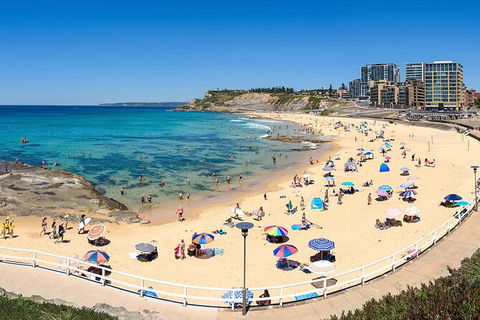Newcastle Scenic Explorer - 2 Hour Tour By Minibus - Accommodation Ballina 16