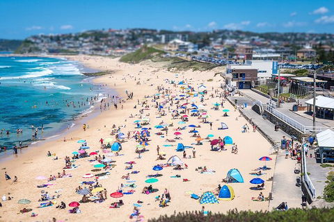 Newcastle Scenic Explorer - 2 Hour Tour By Minibus - Accommodation Ballina 6