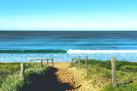 Sydney\'s Northern Beaches & Ku-ring-gai National Park Small Tour Departing Manly - Accommodation Ballina 3