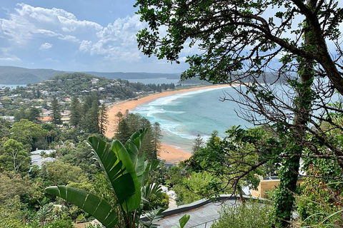 Sydney\'s Northern Beaches & Ku-ring-gai National Park Small Tour Departing Manly - Accommodation Ballina 2