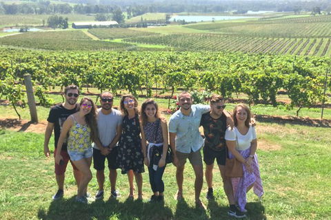 Hunter Valley Wine Tasting All Inclusive Private Bus Tour From Sydney - Accommodation Ballina 2