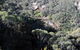 Blue Mountains Highlights & Featherdale Wildlife Park - thumb 5
