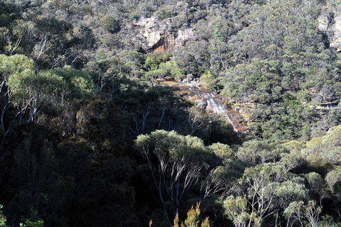 Blue Mountains Highlights & Featherdale Wildlife Park - Accommodation Ballina 5