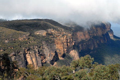 Blue Mountains Highlights & Featherdale Wildlife Park - Accommodation Ballina 2