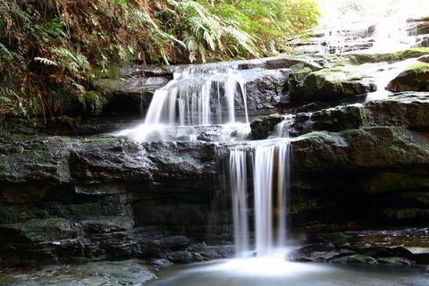Private 10-hour Tour To Blue Mountains From Sydney - Hotel Pick Up & Drop Off - Accommodation Ballina 6
