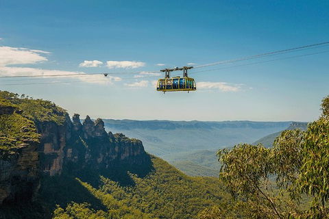 Blue Mountains Highlights, Wildlife Park And Scenic World Full Day Private Tour - Accommodation Ballina 0
