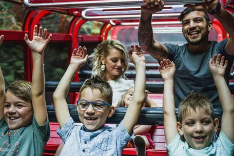 Blue Mountains Highlights, Wildlife Park And Scenic World Full Day Private Tour - Accommodation Ballina 5