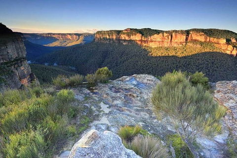 Blue Mountains Highlights, Wildlife Park And Scenic World Full Day Private Tour - Accommodation Ballina 4