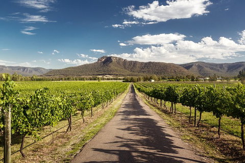 Hunter Valley Highlights Private Wine Tour From Sydney - Accommodation Ballina 2