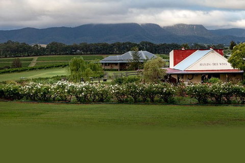 Hunter Valley Highlights Private Wine Tour From Sydney - Accommodation Ballina 5