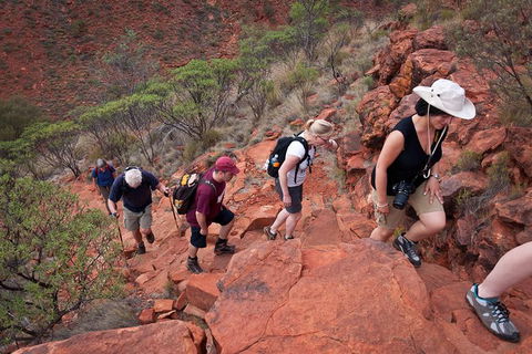 Uluru, Kata Tjuta And Kings Canyon Camping Safari From Alice Springs - Accommodation Ballina 3