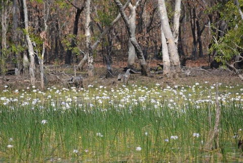 Darwin: Premium Litchfield Regional 11 Hours Tour - Accommodation Ballina 4