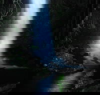 Mt Tamborine National Park 4WD Nocturnal Rainforest and Glow Worm Tour - Accommodation Ballina