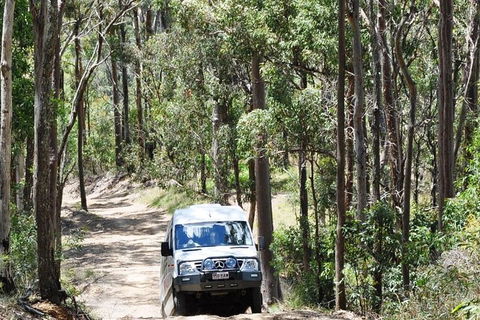 Gold Coast Lamington National Park And Tamborine Mountain 4WD Ecotour - Accommodation Ballina 1