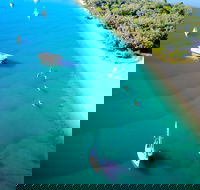 Half-Day Kayak SUP and snorkel tour at Wave Break Island with Lunch - Accommodation Ballina