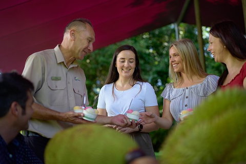 Daintree And Cape Tribulation Tour From Cairns - Accommodation Ballina 1