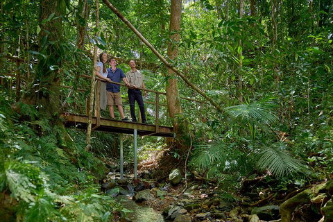 Daintree And Cape Tribulation Tour From Cairns - Accommodation Ballina 3