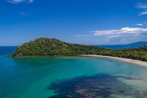 Daintree And Cape Tribulation Tour From Cairns - Accommodation Ballina 7