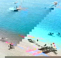 2.5hr Gold Coast Kayaking  snorkelling tour - Accommodation Ballina