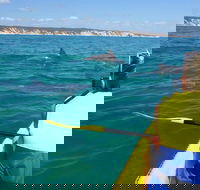 Kayak with Dolphins and 4WD Great Beach Drive Day Trip from Noosa