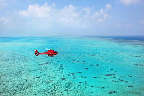 Ultimate Great Barrier Reef And Rainforest 45-minute Helicopter Tour - Accommodation Ballina 4