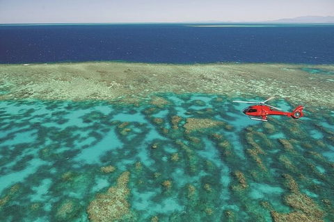 Ultimate Great Barrier Reef And Rainforest 45-minute Helicopter Tour - Accommodation Ballina 2