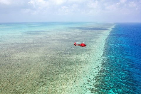 Ultimate Great Barrier Reef And Rainforest 45-minute Helicopter Tour - Accommodation Ballina 5