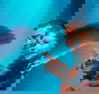 SEA LIFE Sunshine Coast Aquarium Entrance Ticket