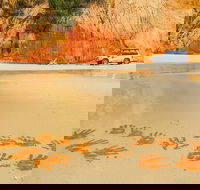 Great Beach Drive 4WD Day Tour Between Noosa and Rainbow Beach