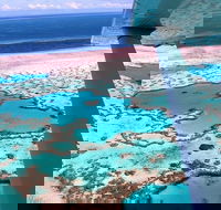 8-Day Cairns Tour Great Barrier Reef Kuranda Daintree Rainforest - Accommodation Ballina