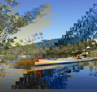 Self-Guided Noosa Everglades Kayak Tour