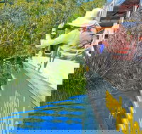 Noosa Everglades Serenity Cruise  Highlights Tour Inc. Lunch  Cruise