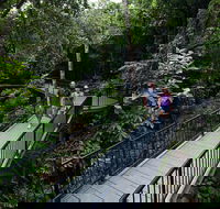 4-Day Cairns with Great Barrier Reef and Daintree Rainforest - Accommodation Ballina