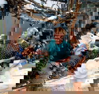 Maleny Botanic Gardens Bird Aviary Experience Ticket