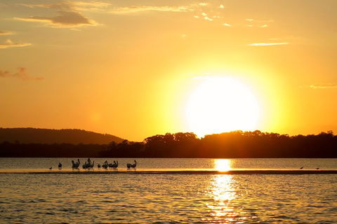 Noosa River Cruise For 3 To 4 People On A Classic Mahogany Speed Boat - 90 Min. - Accommodation Ballina 6