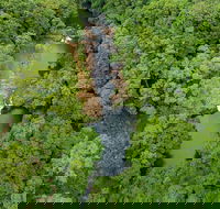 Full-Day Guided Hinterland Adventure Tour in Queensland