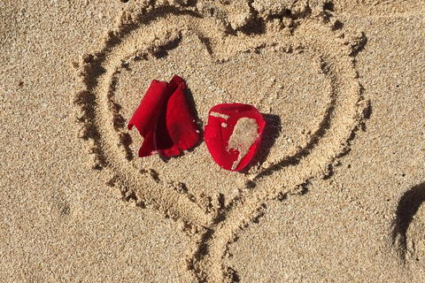 Elope In Paradise - Weddings At Mission Beach - Accommodation Ballina 3