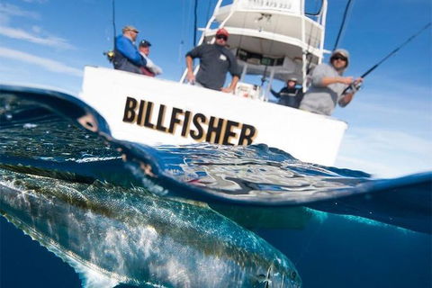 Full Day Fishing Charter Airlie Beach Whitsundays - Accommodation Ballina 2
