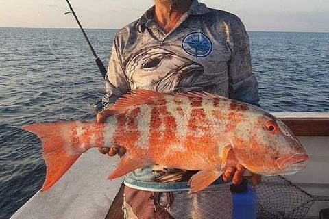 Full Day Whitsunday Reef Fishing Charter Boat - Accommodation Ballina 7