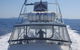 Full Day Whitsunday Reef Fishing Charter Boat - thumb 3