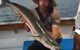 Full Day Whitsunday Reef Fishing Charter Boat - thumb 0